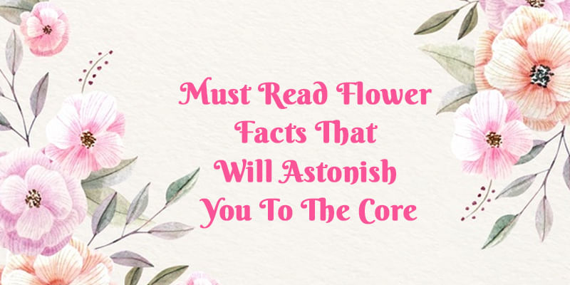 Must Read Flower Facts That Will Astonish You To The Core